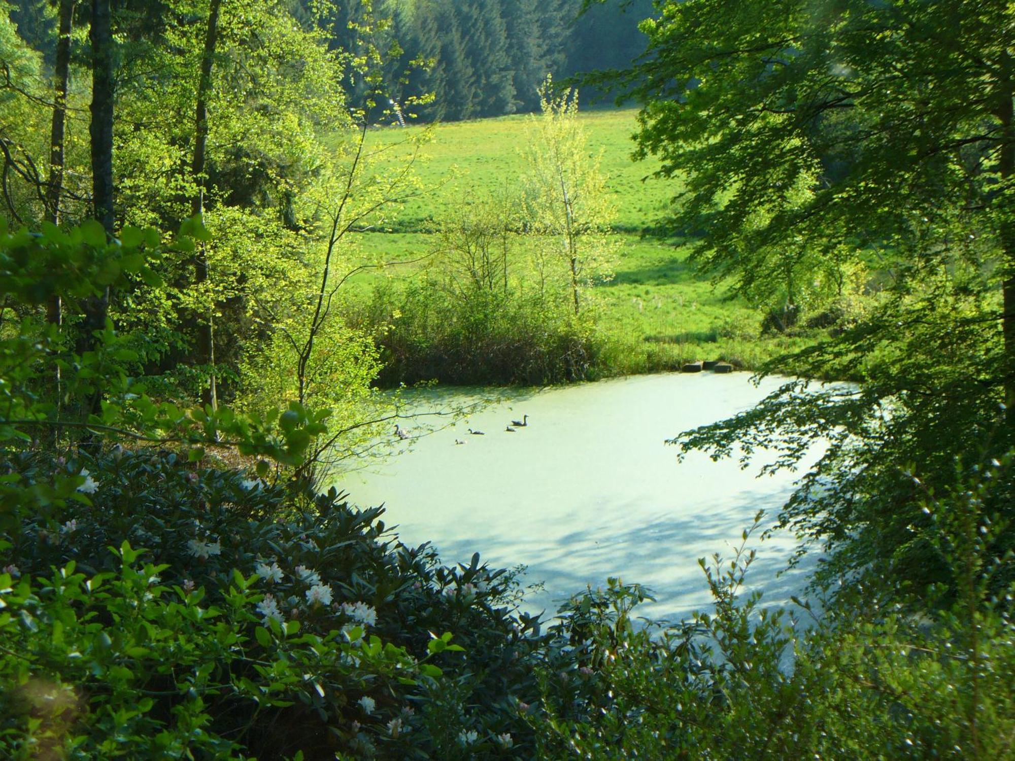 Affittacamere Forstgut Stuebeckshorn Soltau Esterno foto
